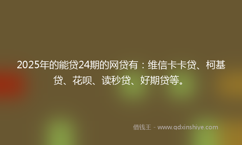 2025年的能贷24期的网贷有：维信卡卡贷、柯基贷、花呗、读秒贷、好期贷等。
