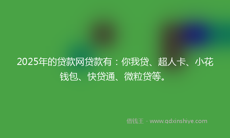 2025年的贷款网贷款有：你我贷、超人卡、小花钱包、快贷通、微粒贷等。
