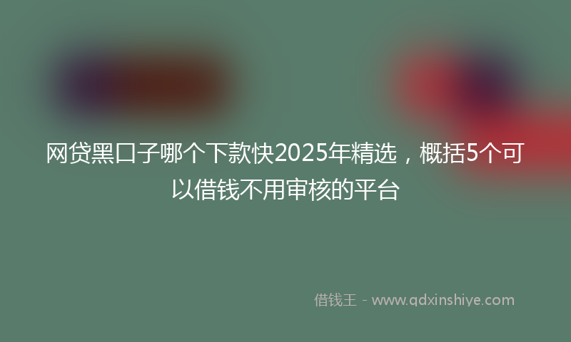 网贷黑口子哪个下款快2025年精选，概括5个可以借钱不用审核的平台