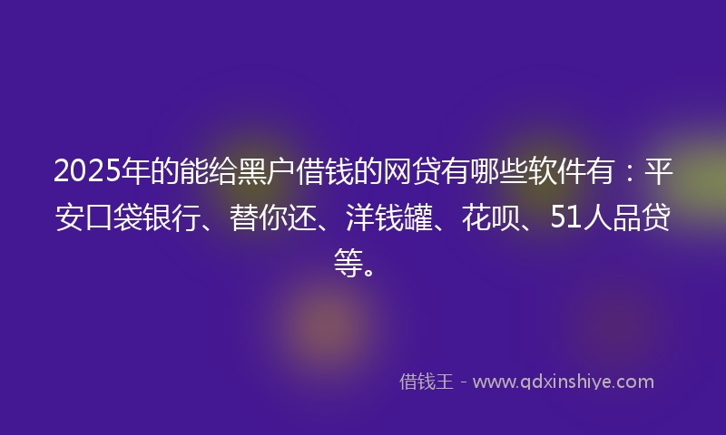 2025年的能给黑户借钱的网贷有哪些软件有：平安口袋银行、替你还、洋钱罐、花呗、51人品贷等。