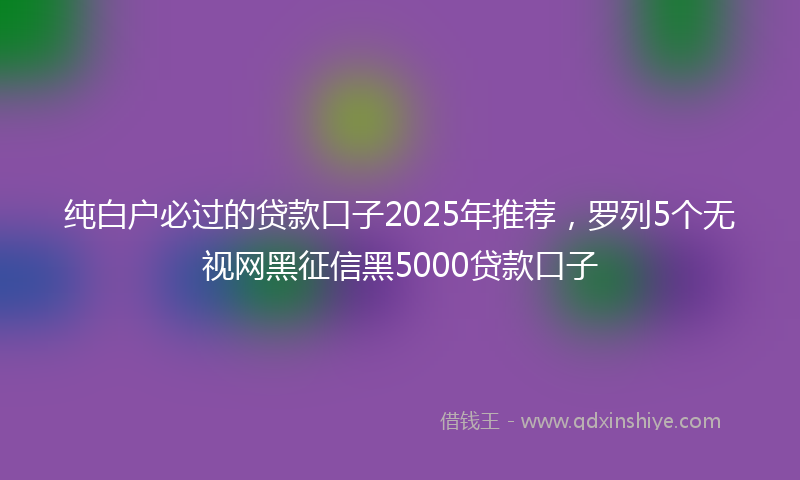 纯白户必过的贷款口子2025年推荐，罗列5个无视网黑征信黑5000贷款口子