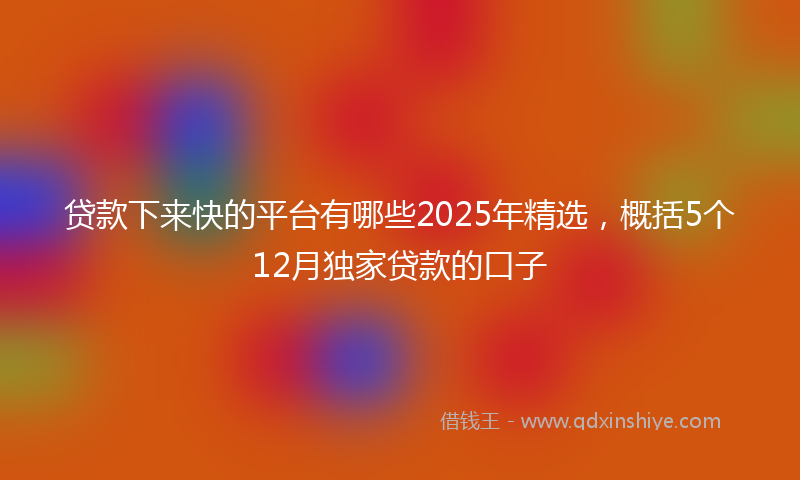 贷款下来快的平台有哪些2025年精选，概括5个12月独家贷款的口子