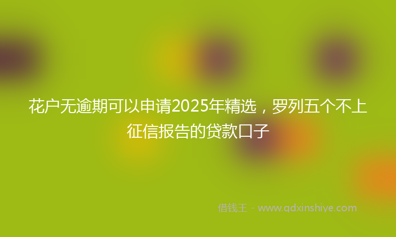 花户无逾期可以申请2025年精选，罗列五个不上征信报告的贷款口子