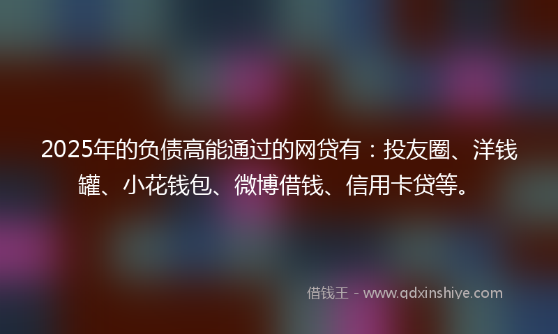 2025年的负债高能通过的网贷有：投友圈、洋钱罐、小花钱包、微博借钱、信用卡贷等。