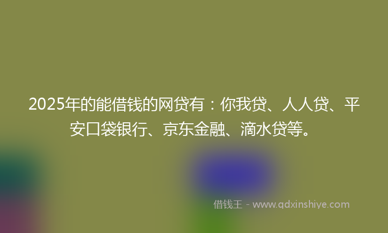2025年的能借钱的网贷有：你我贷、人人贷、平安口袋银行、京东金融、滴水贷等。