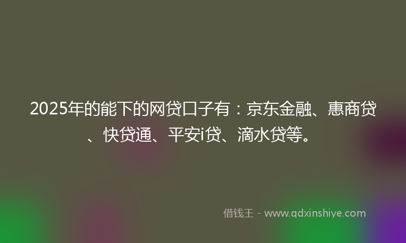2025年的能下的网贷口子有：京东金融、惠商贷、快贷通、平安i贷、滴水贷等。