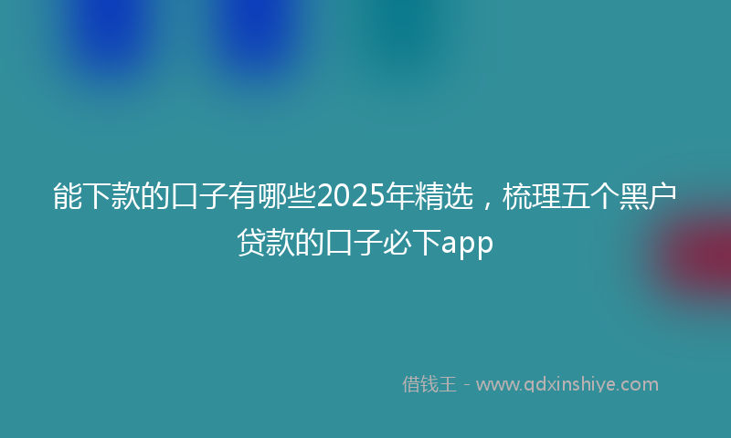 能下款的口子有哪些2025年精选，梳理五个黑户贷款的口子必下app
