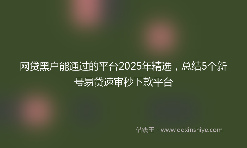网贷黑户能通过的平台2025年精选，总结5个新号易贷速审秒下款平台