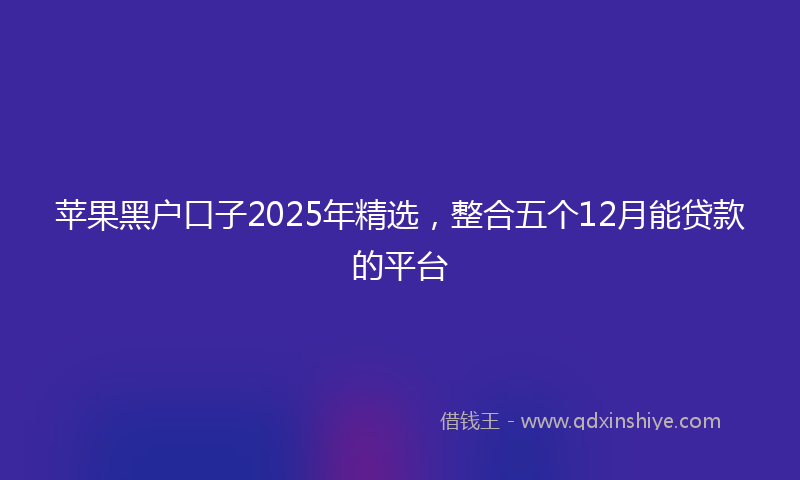 苹果黑户口子2025年精选，整合五个12月能贷款的平台