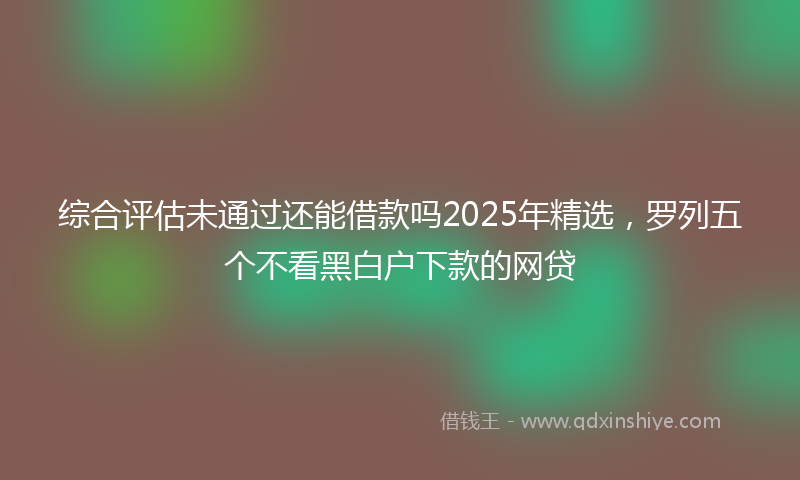 综合评估未通过还能借款吗2025年精选，罗列五个不看黑白户下款的网贷
