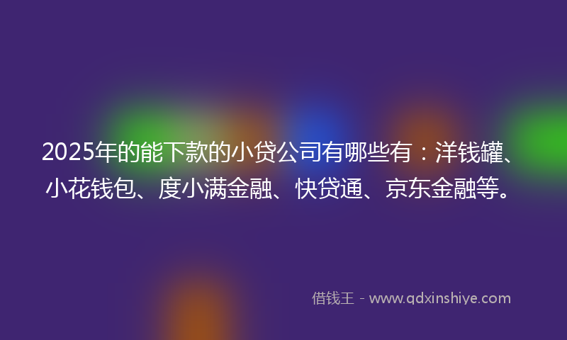 2025年的能下款的小贷公司有哪些有：洋钱罐、小花钱包、度小满金融、快贷通、京东金融等。
