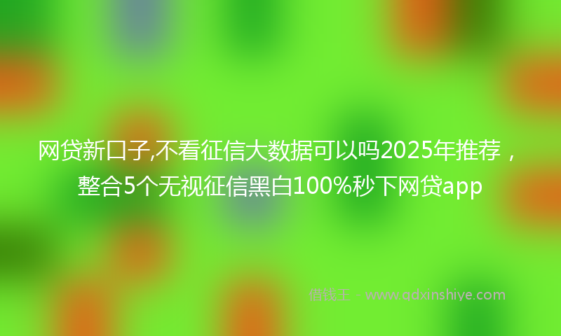 网贷新口子,不看征信大数据可以吗2025年推荐，整合5个无视征信黑白100%秒下网贷app