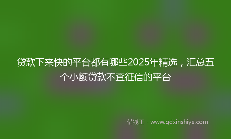 贷款下来快的平台都有哪些2025年精选，汇总五个小额贷款不查征信的平台