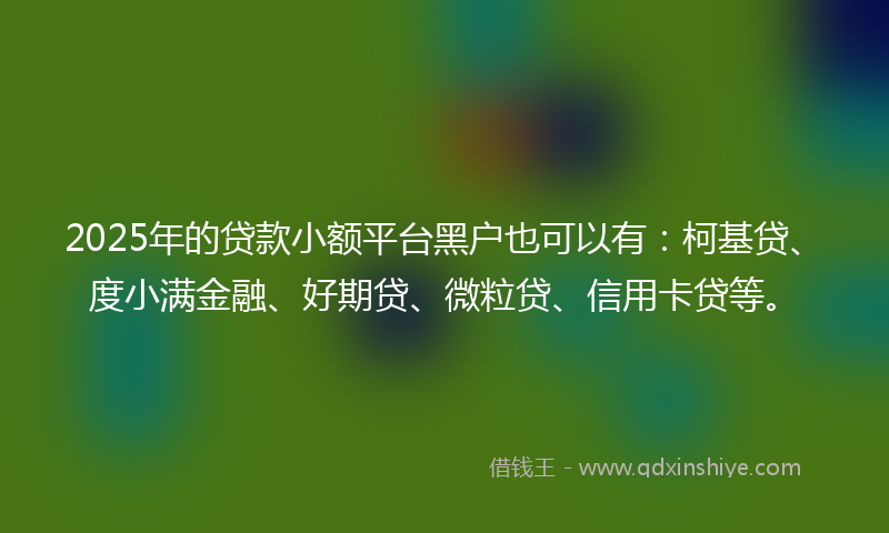 2025年的贷款小额平台黑户也可以有：柯基贷、度小满金融、好期贷、微粒贷、信用卡贷等。