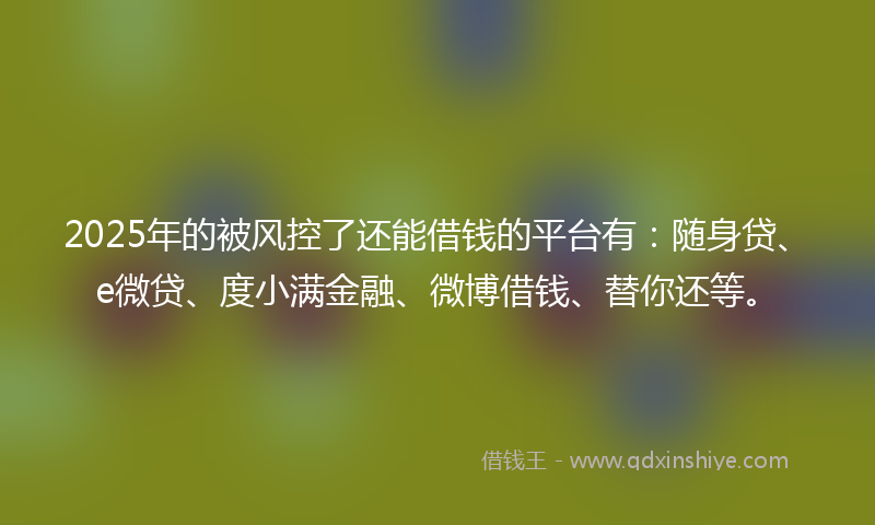2025年的被风控了还能借钱的平台有：随身贷、e微贷、度小满金融、微博借钱、替你还等。