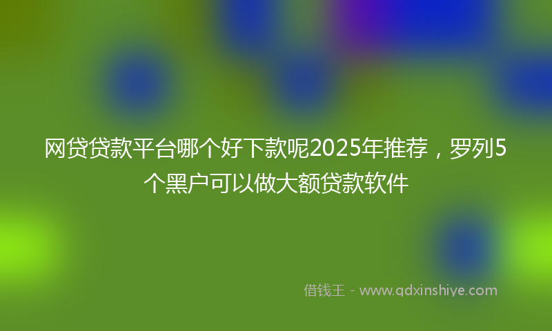 网贷贷款平台哪个好下款呢2025年推荐，罗列5个黑户可以做大额贷款软件