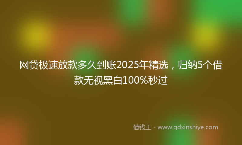 网贷极速放款多久到账2025年精选，归纳5个借款无视黑白100%秒过