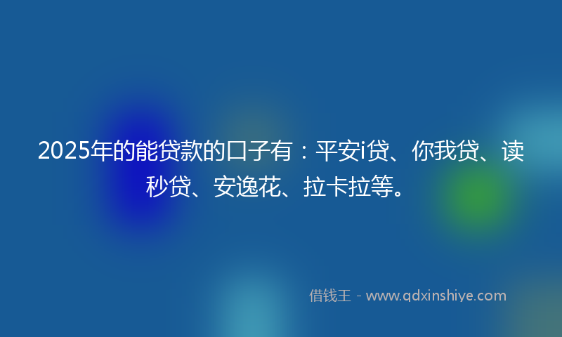 2025年的能贷款的口子有：平安i贷、你我贷、读秒贷、安逸花、拉卡拉等。