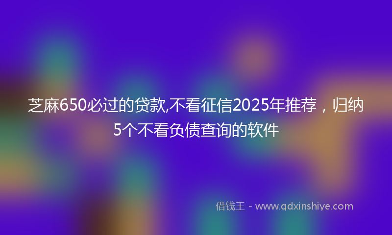 芝麻650必过的贷款,不看征信2025年推荐，归纳5个不看负债查询的软件