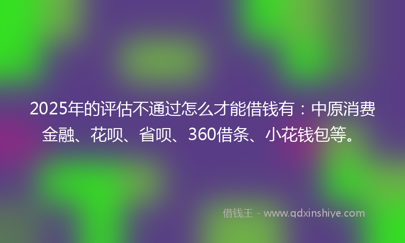 2025年的评估不通过怎么才能借钱有：中原消费金融、花呗、省呗、360借条、小花钱包等。