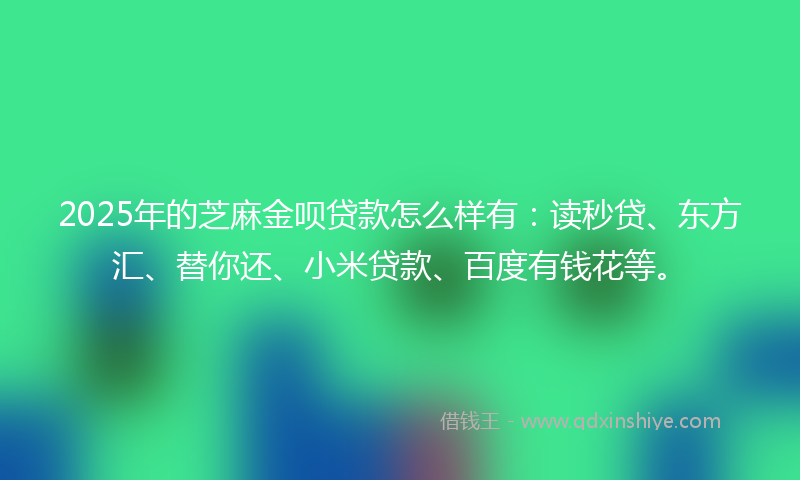 2025年的芝麻金呗贷款怎么样有：读秒贷、东方汇、替你还、小米贷款、百度有钱花等。