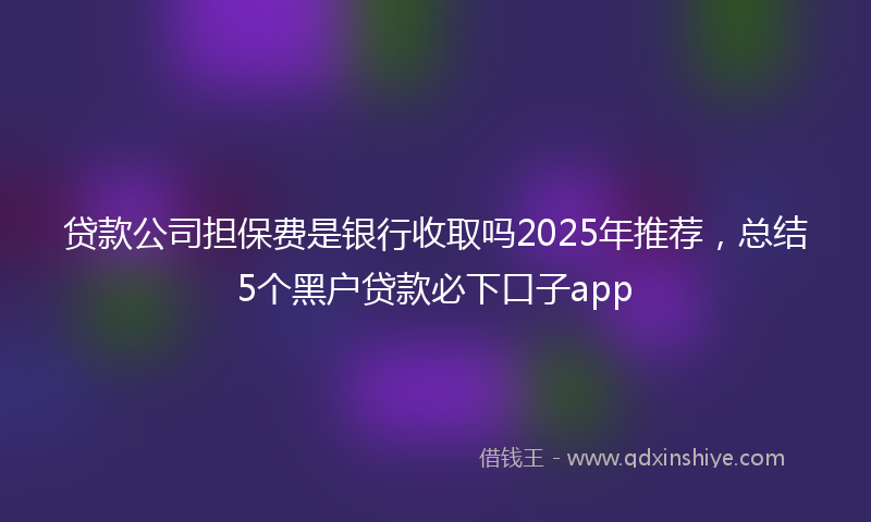 贷款公司担保费是银行收取吗2025年推荐，总结5个黑户贷款必下口子app