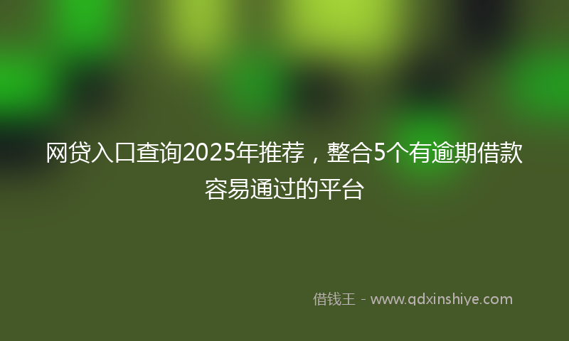 网贷入口查询2025年推荐，整合5个有逾期借款容易通过的平台