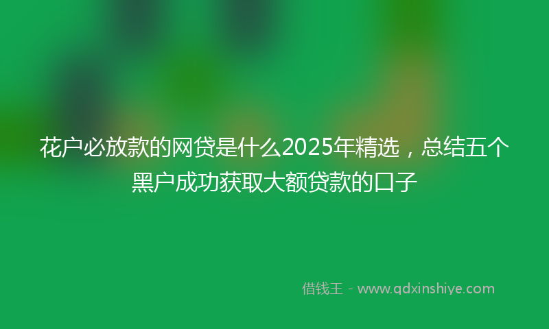 花户必放款的网贷是什么2025年精选,总结五个黑户成功获取大额贷款的口子