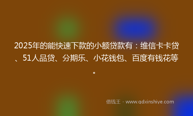 2025年的能快速下款的小额贷款有：维信卡卡贷、51人品贷、分期乐、小花钱包、百度有钱花等。