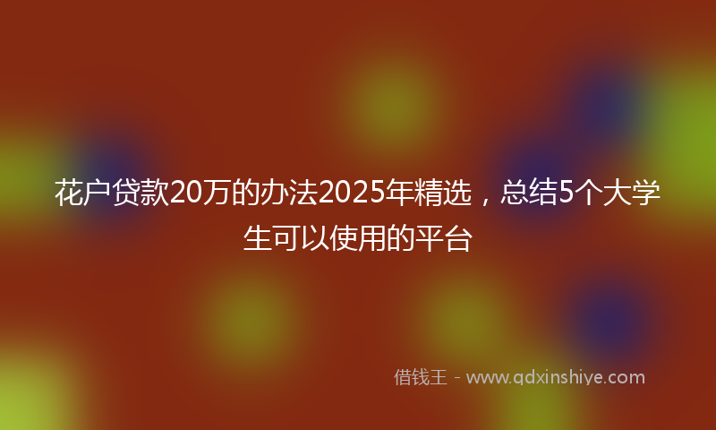花户贷款20万的办法2025年精选，总结5个大学生可以使用的平台