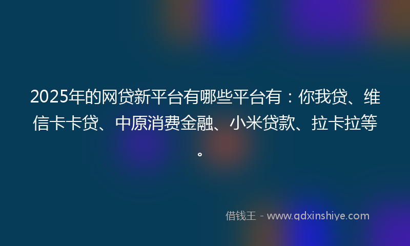 2025年的网贷新平台有哪些平台有：你我贷、维信卡卡贷、中原消费金融、小米贷款、拉卡拉等。