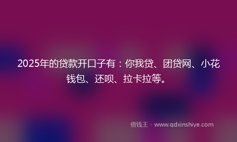 2025年的贷款开口子有：你我贷、团贷网、小花钱包、还呗、拉卡拉等。