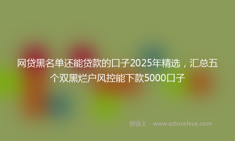 网贷黑名单还能贷款的口子2025年精选，汇总五个双黑烂户风控能下款5000口子