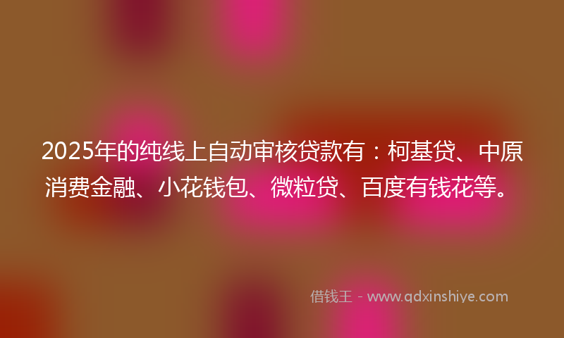 2025年的纯线上自动审核贷款有：柯基贷、中原消费金融、小花钱包、微粒贷、百度有钱花等。