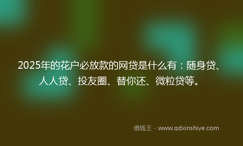 2025年的花户必放款的网贷是什么有：随身贷、人人贷、投友圈、替你还、微粒贷等。