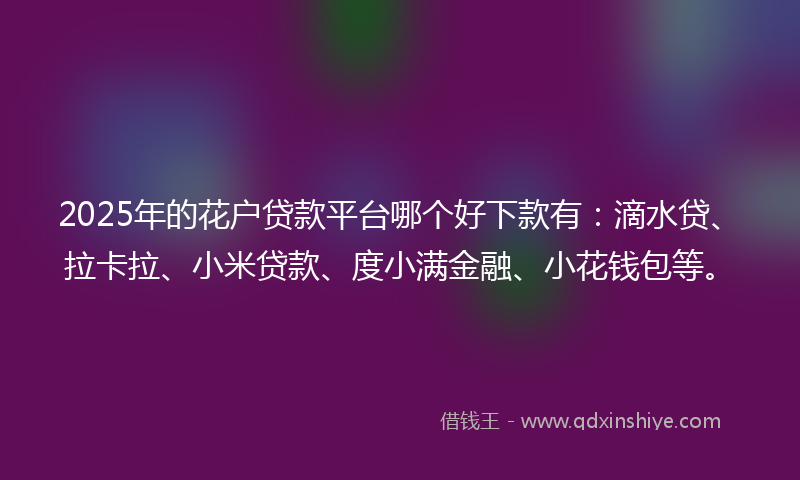 2025年的花户贷款平台哪个好下款有：滴水贷、拉卡拉、小米贷款、度小满金融、小花钱包等。