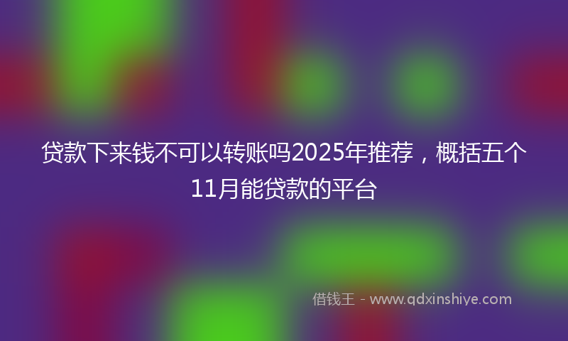 贷款下来钱不可以转账吗2025年推荐，概括五个11月能贷款的平台