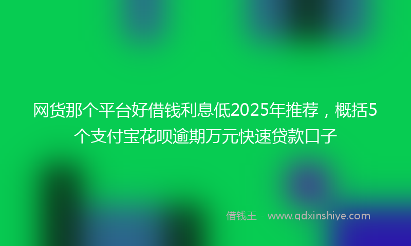 网货那个平台好借钱利息低2025年推荐，概括5个支付宝花呗逾期万元快速贷款口子