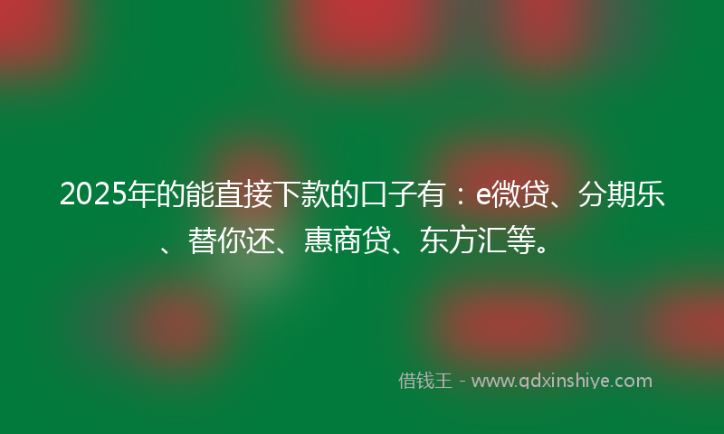 2025年的能直接下款的口子有：e微贷、分期乐、替你还、惠商贷、东方汇等。