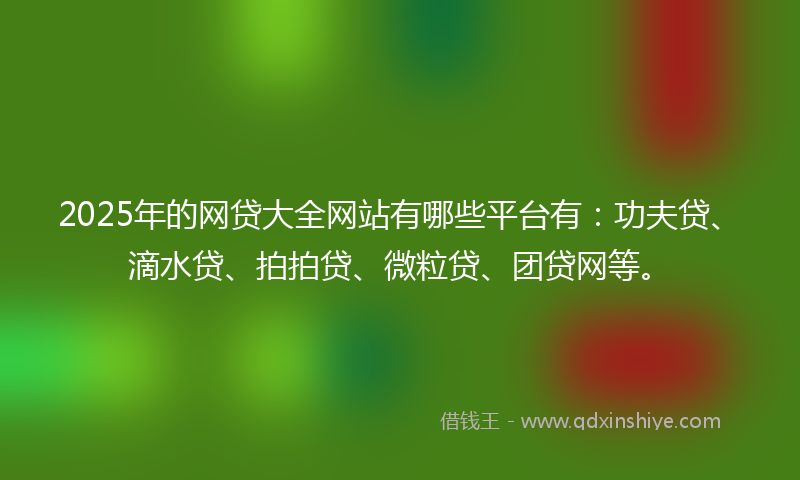 2025年的网贷大全网站有哪些平台有：功夫贷、滴水贷、拍拍贷、微粒贷、团贷网等。