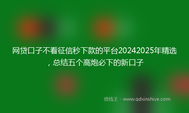 网贷口子不看征信秒下款的平台20242025年精选，总结五个高炮必下的新口子