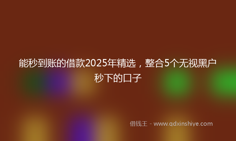 能秒到账的借款2025年精选，整合5个无视黑户秒下的口子
