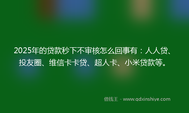 2025年的贷款秒下不审核怎么回事有：人人贷、投友圈、维信卡卡贷、超人卡、小米贷款等。