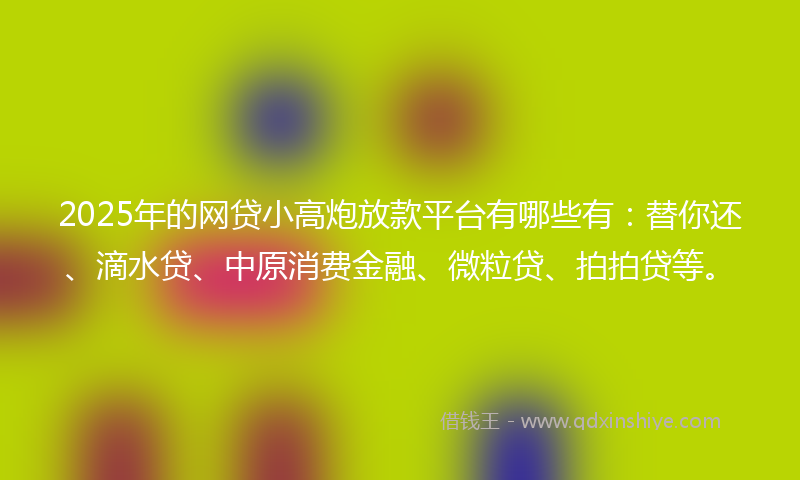 2025年的网贷小高炮放款平台有哪些有：替你还、滴水贷、中原消费金融、微粒贷、拍拍贷等。