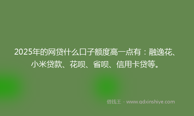 2025年的网贷什么口子额度高一点有：融逸花、小米贷款、花呗、省呗、信用卡贷等。