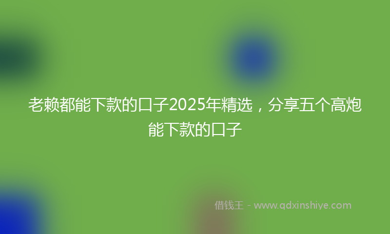 老赖都能下款的口子2025年精选，分享五个高炮能下款的口子