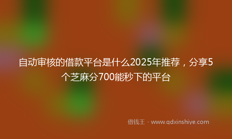 自动审核的借款平台是什么2025年推荐，分享5个芝麻分700能秒下的平台