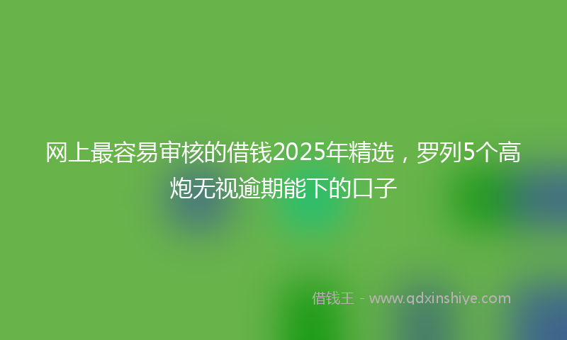 网上最容易审核的借钱2025年精选，罗列5个高炮无视逾期能下的口子