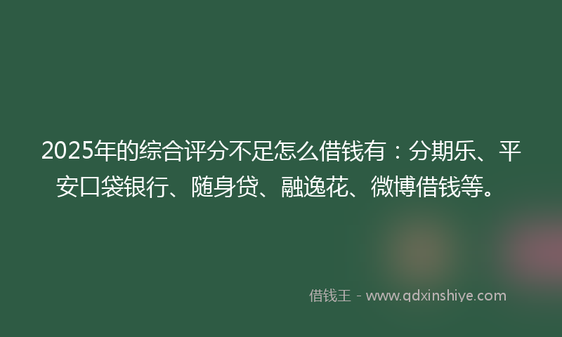 2025年的综合评分不足怎么借钱有：分期乐、平安口袋银行、随身贷、融逸花、微博借钱等。