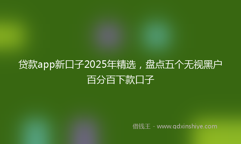 贷款app新口子2025年精选，盘点五个无视黑户百分百下款口子